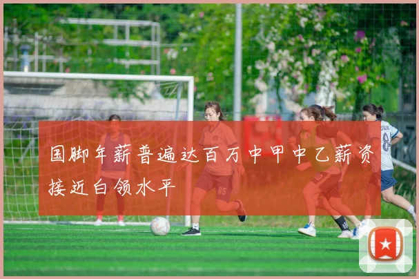 国脚年薪普遍达百万中甲中乙薪资接近白领水平