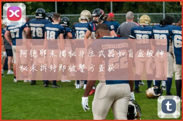 阿德耶米揭秘非法武器如盲盒般神秘未拆封即被警方查获